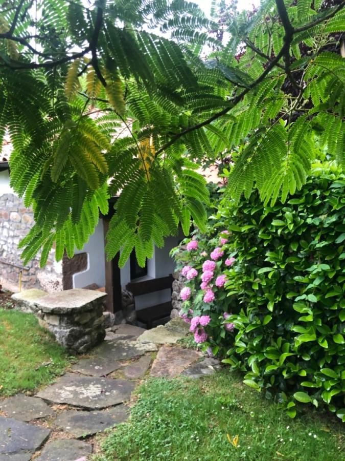 Hdec Hosteria De Castaneda Alojamiento Turistico Puente Viesgo Eksteriør billede